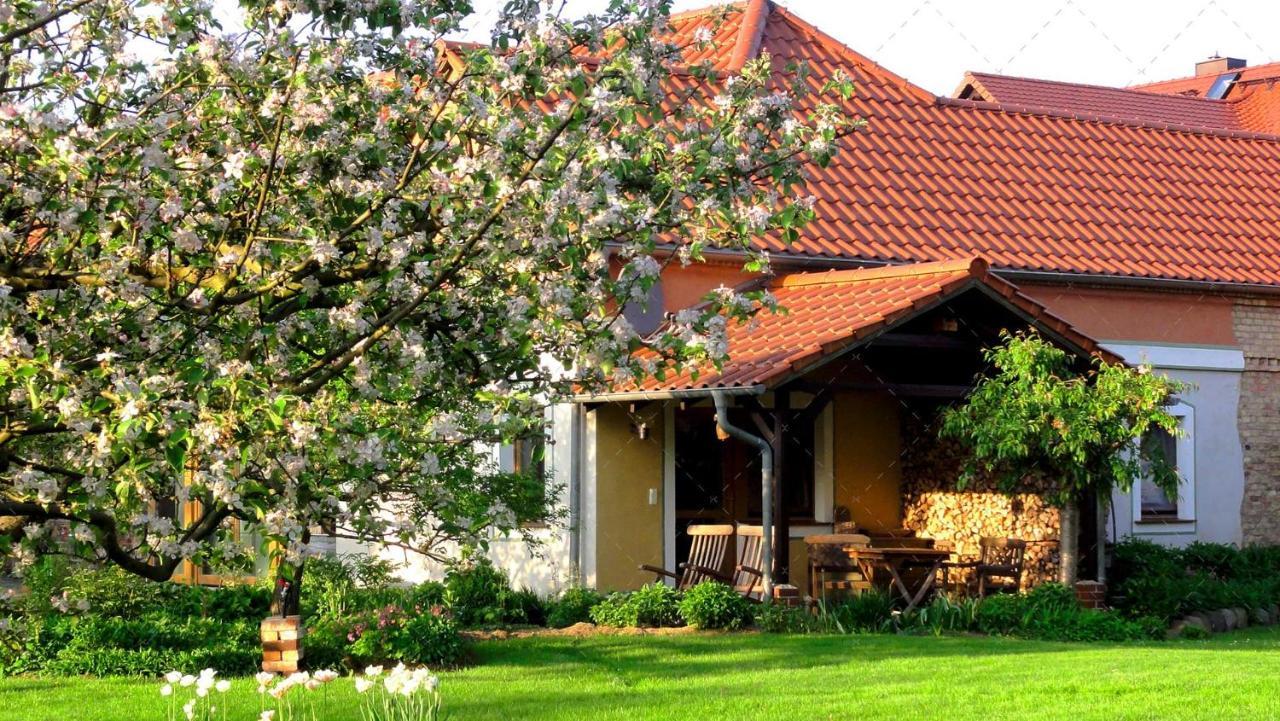 Janischs Fewo Im Spreewald, Terrasse, Grosser Garten Und Blick Inklusive Unterspreewald ภายนอก รูปภาพ