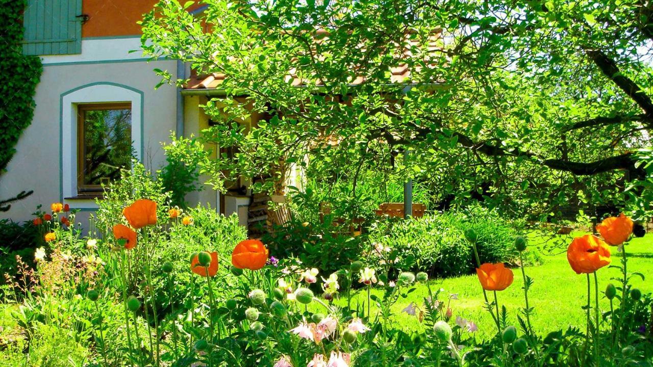 Janischs Fewo Im Spreewald, Terrasse, Grosser Garten Und Blick Inklusive Unterspreewald ภายนอก รูปภาพ