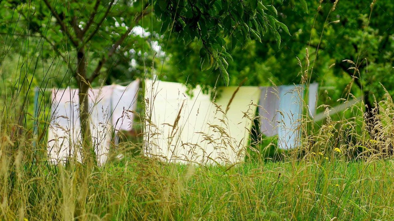 Janischs Fewo Im Spreewald, Terrasse, Grosser Garten Und Blick Inklusive Unterspreewald ภายนอก รูปภาพ