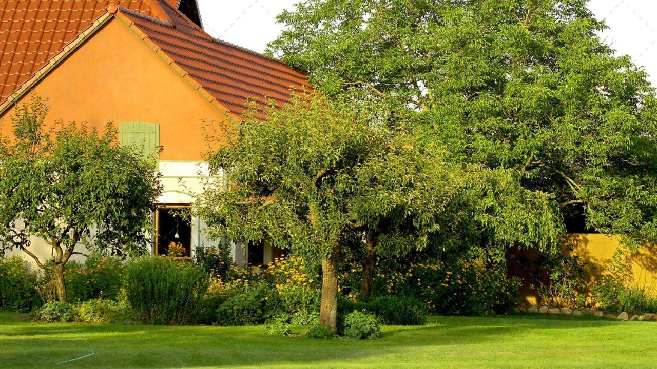 Janischs Fewo Im Spreewald, Terrasse, Grosser Garten Und Blick Inklusive Unterspreewald ภายนอก รูปภาพ