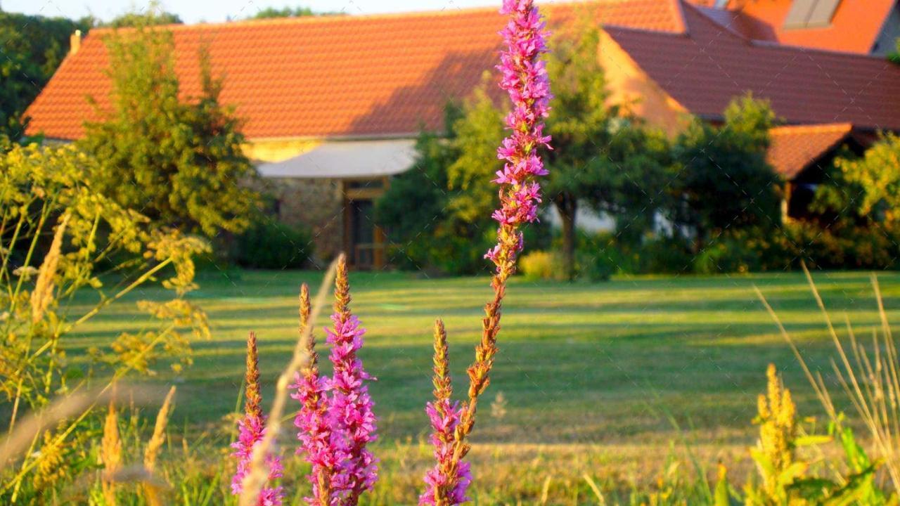 Janischs Fewo Im Spreewald, Terrasse, Grosser Garten Und Blick Inklusive Unterspreewald ภายนอก รูปภาพ