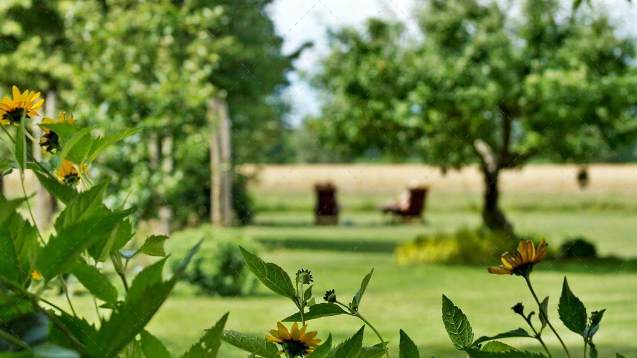 Janischs Fewo Im Spreewald, Terrasse, Grosser Garten Und Blick Inklusive Unterspreewald ภายนอก รูปภาพ