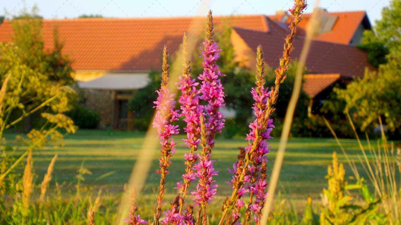 Janischs Fewo Im Spreewald, Terrasse, Grosser Garten Und Blick Inklusive Unterspreewald ภายนอก รูปภาพ