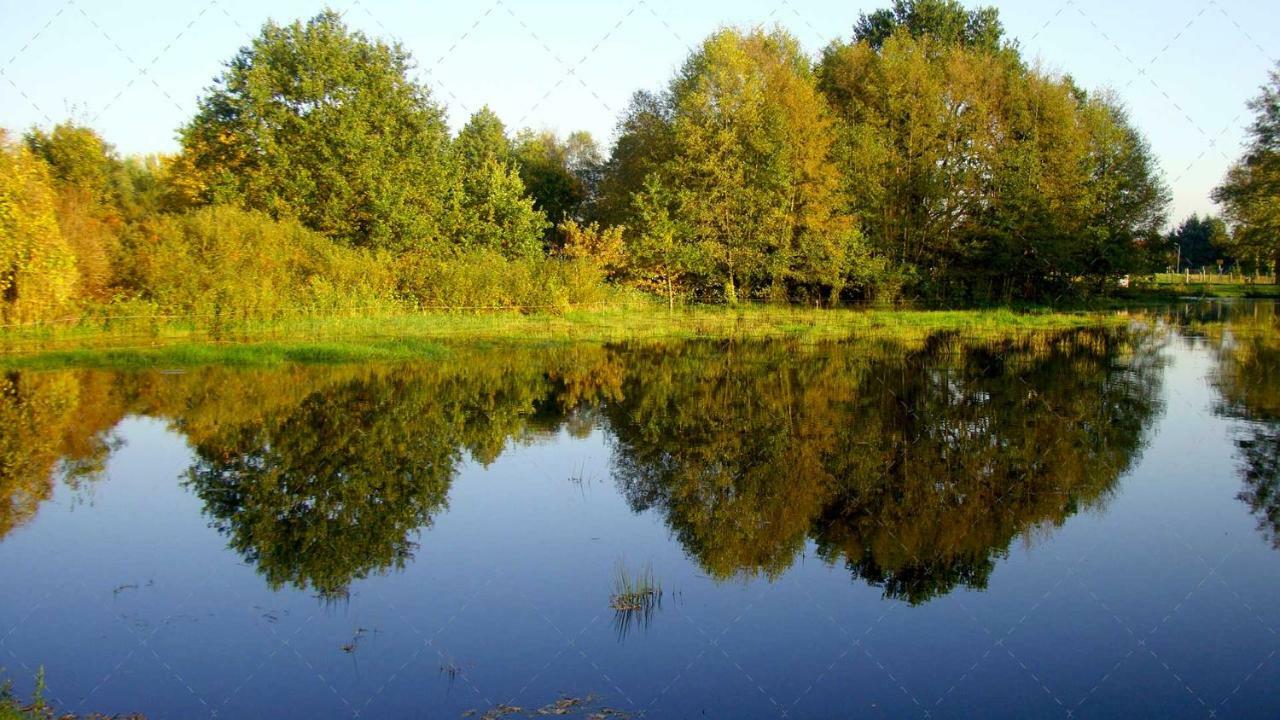 Janischs Fewo Im Spreewald, Terrasse, Grosser Garten Und Blick Inklusive Unterspreewald ภายนอก รูปภาพ